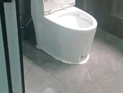 衛(wèi)生間有異味，有什么去除小技巧呢？
