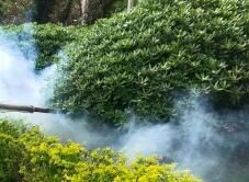 四害消殺完成后，需要做哪些鞏固工作呢？